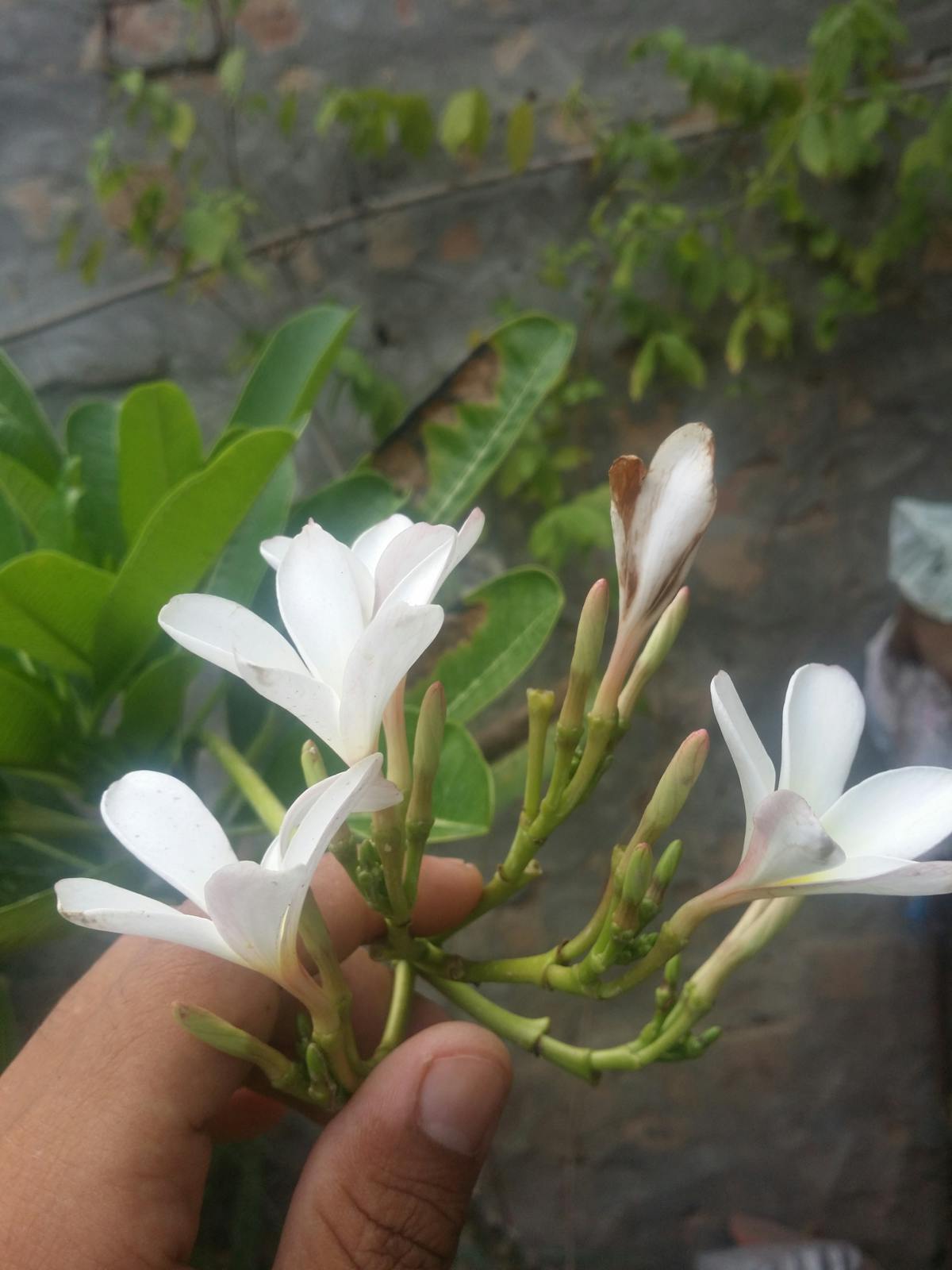 Close-up of hands typing on a laptop in a newsroom environment