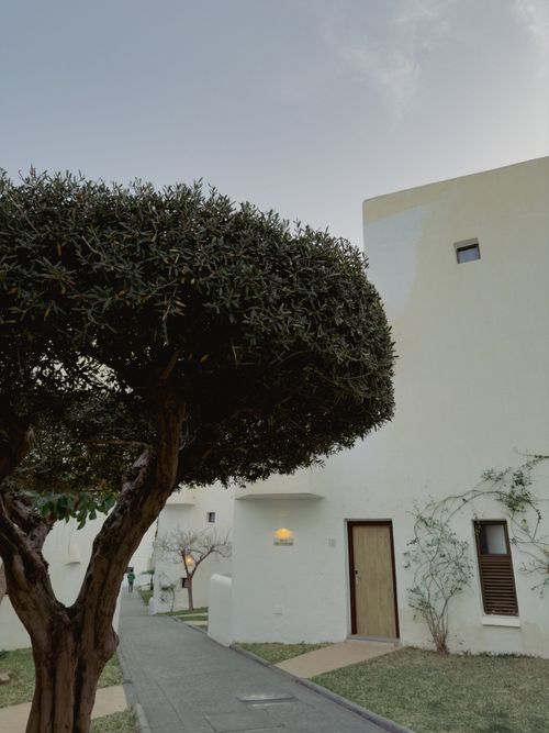 Free Contemporary buildings with distinctive tree, showcasing urban style. Stock Photo