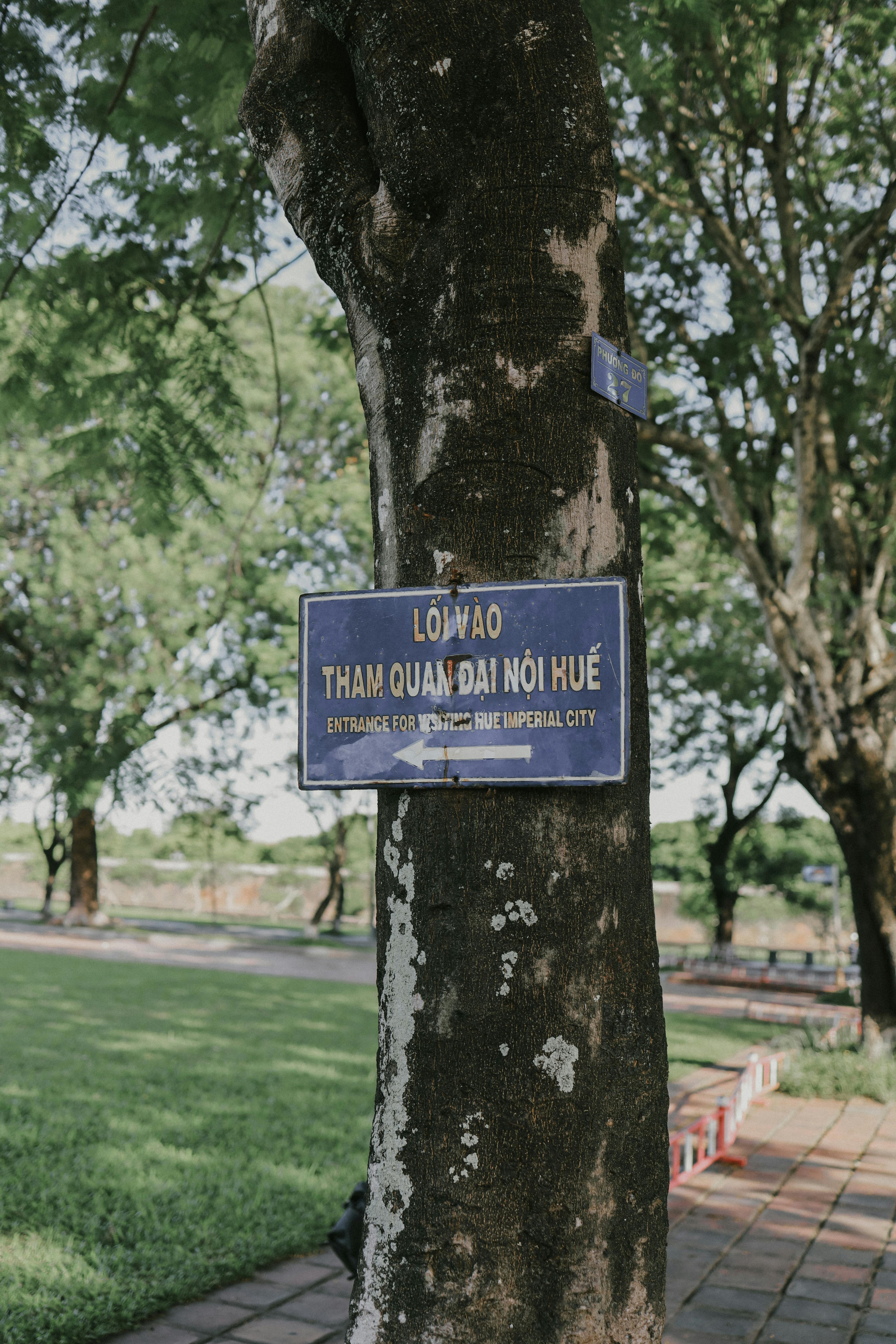 Innovative Filmmaking Techniques‍ in Critically Acclaimed Films