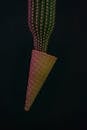 Cactus in Ice Cream Cone