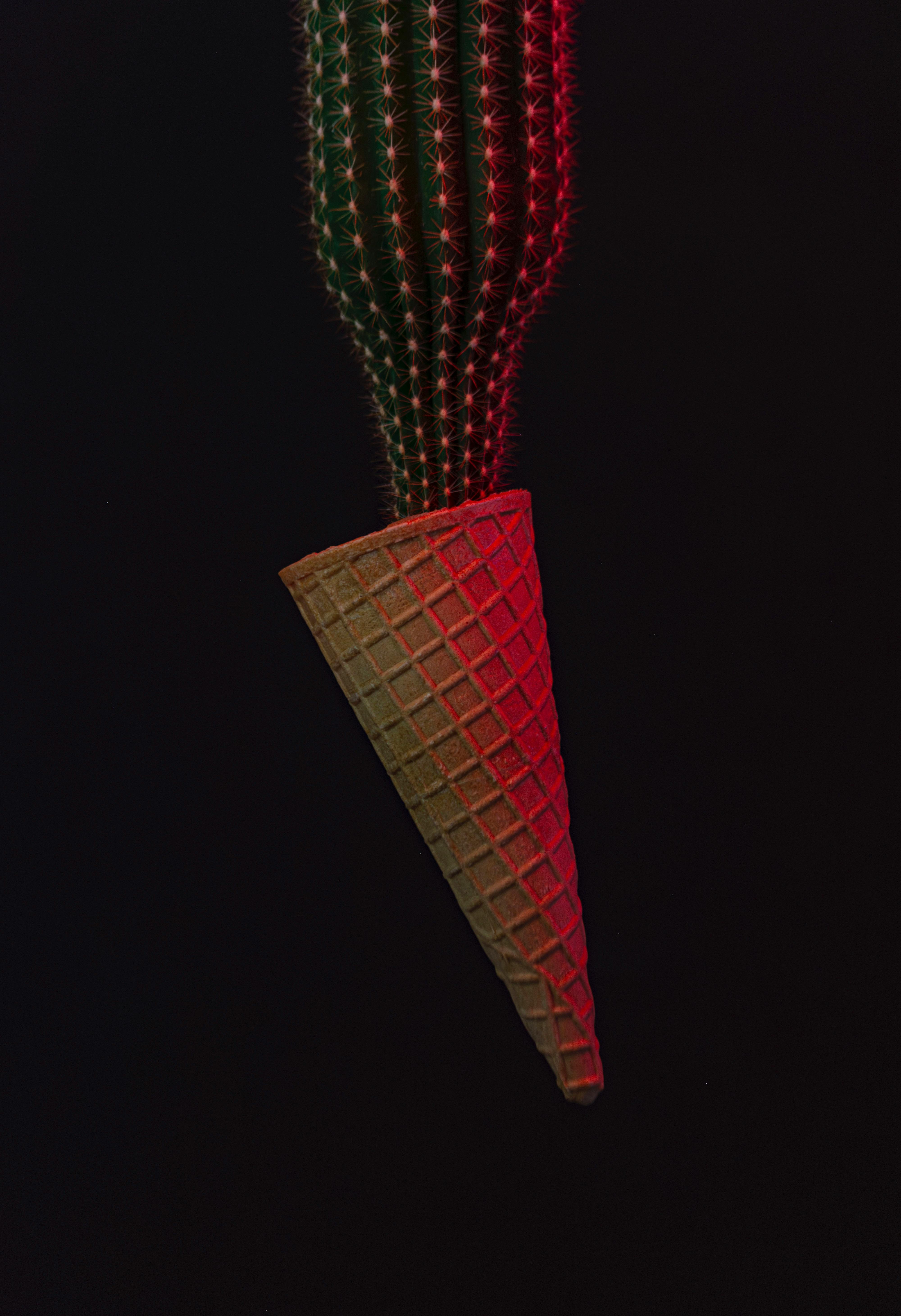 Zadarmo Fotobanka s bezplatnými fotkami na tému 4k, abstraktný, botanický Fotka z fotobanky