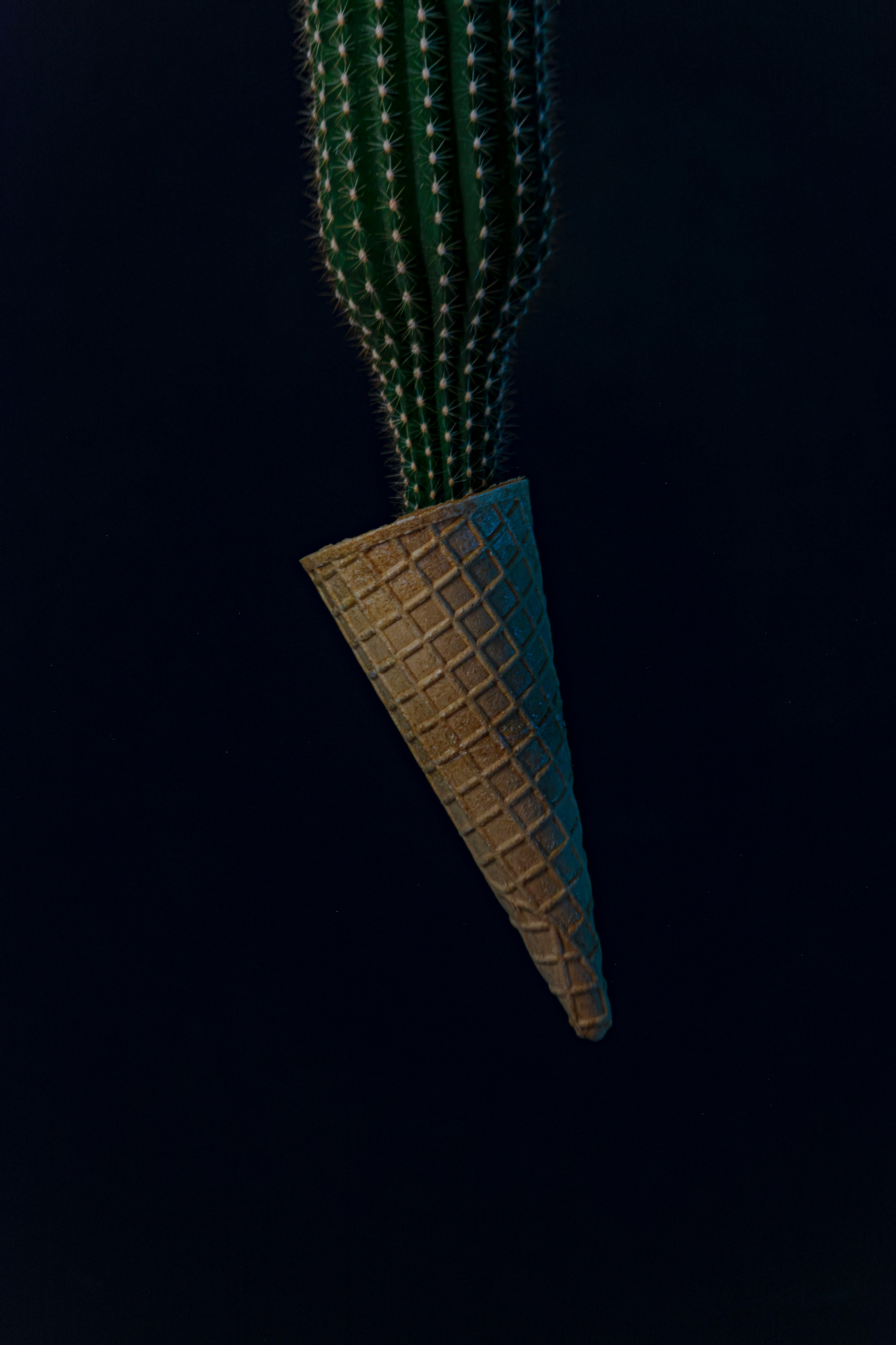 무료 검은색 배경, 공상, 괴짜의 무료 스톡 사진