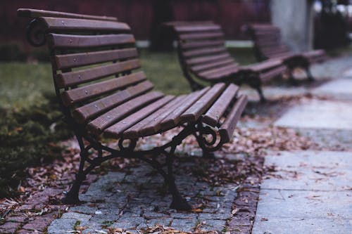 Brown Wooden Park Bench