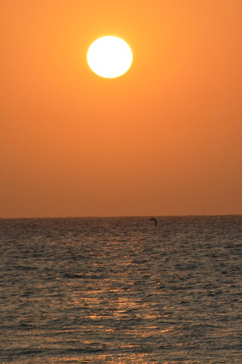 Photos gratuites de atardecer, caraïbes, ciel