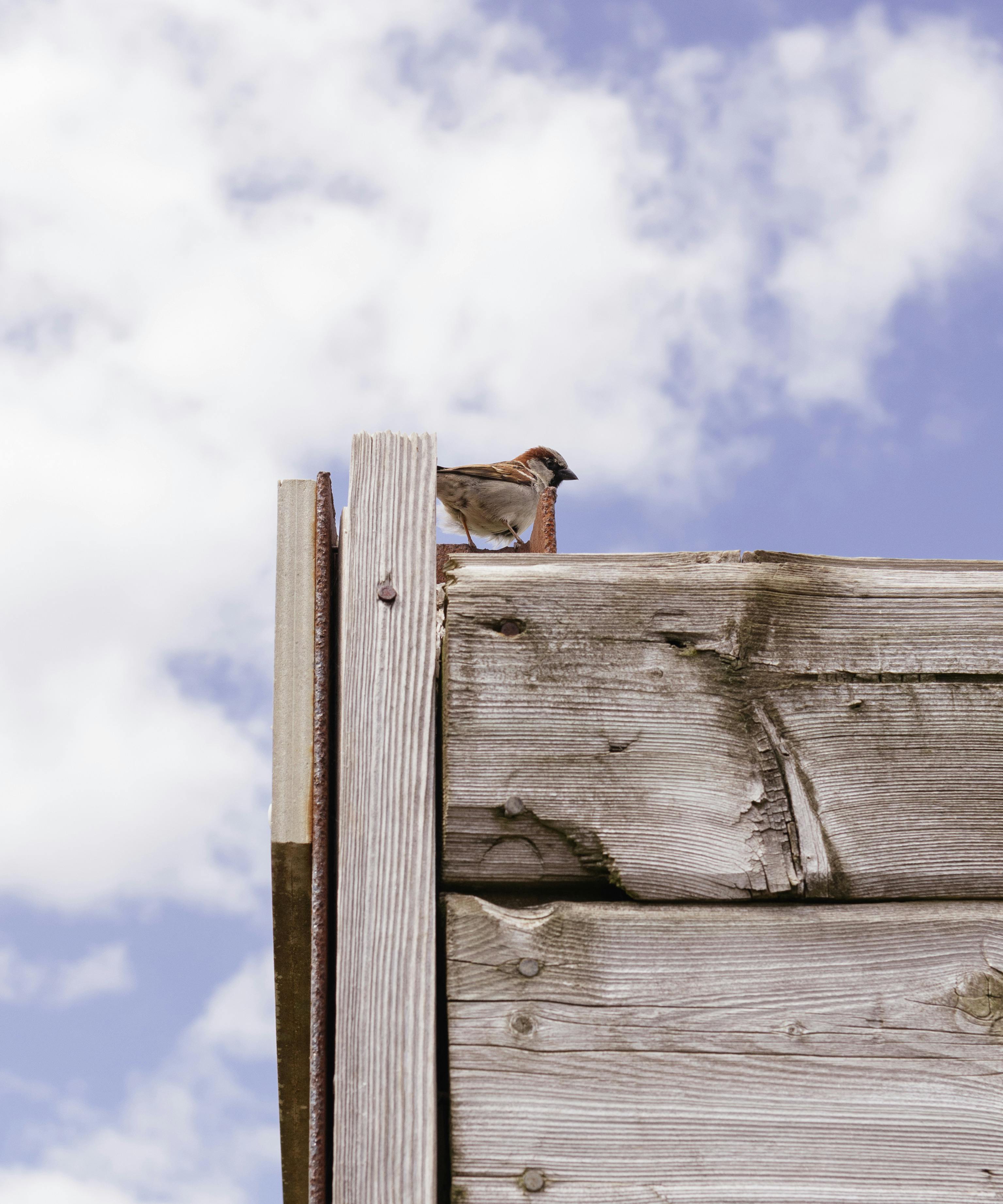 No-Cost Kanban Board