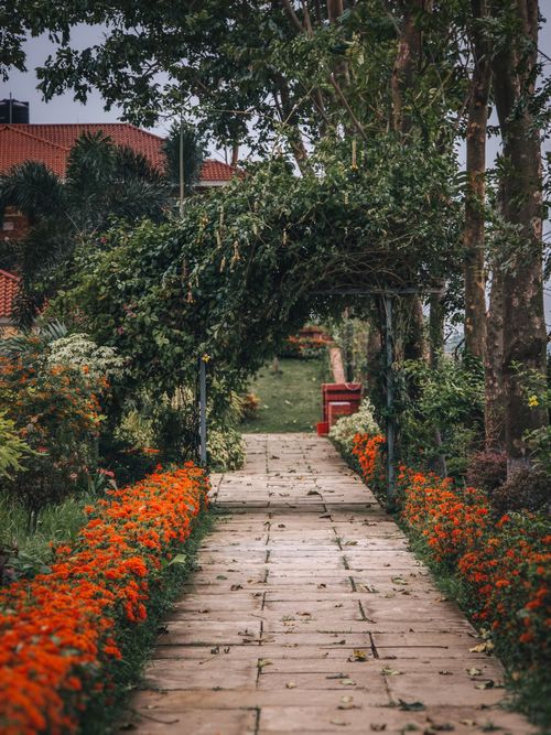 Free A picturesque garden pathway lined with vibrant flowers and greenery, showcasing nature's beauty. Stock Photo