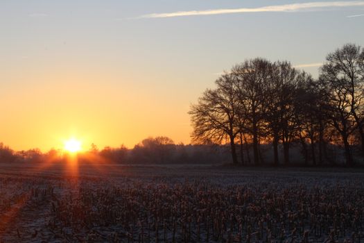 Captivating sunrise over a frosty field with silhouetted trees, capturing the tranquility of winter.