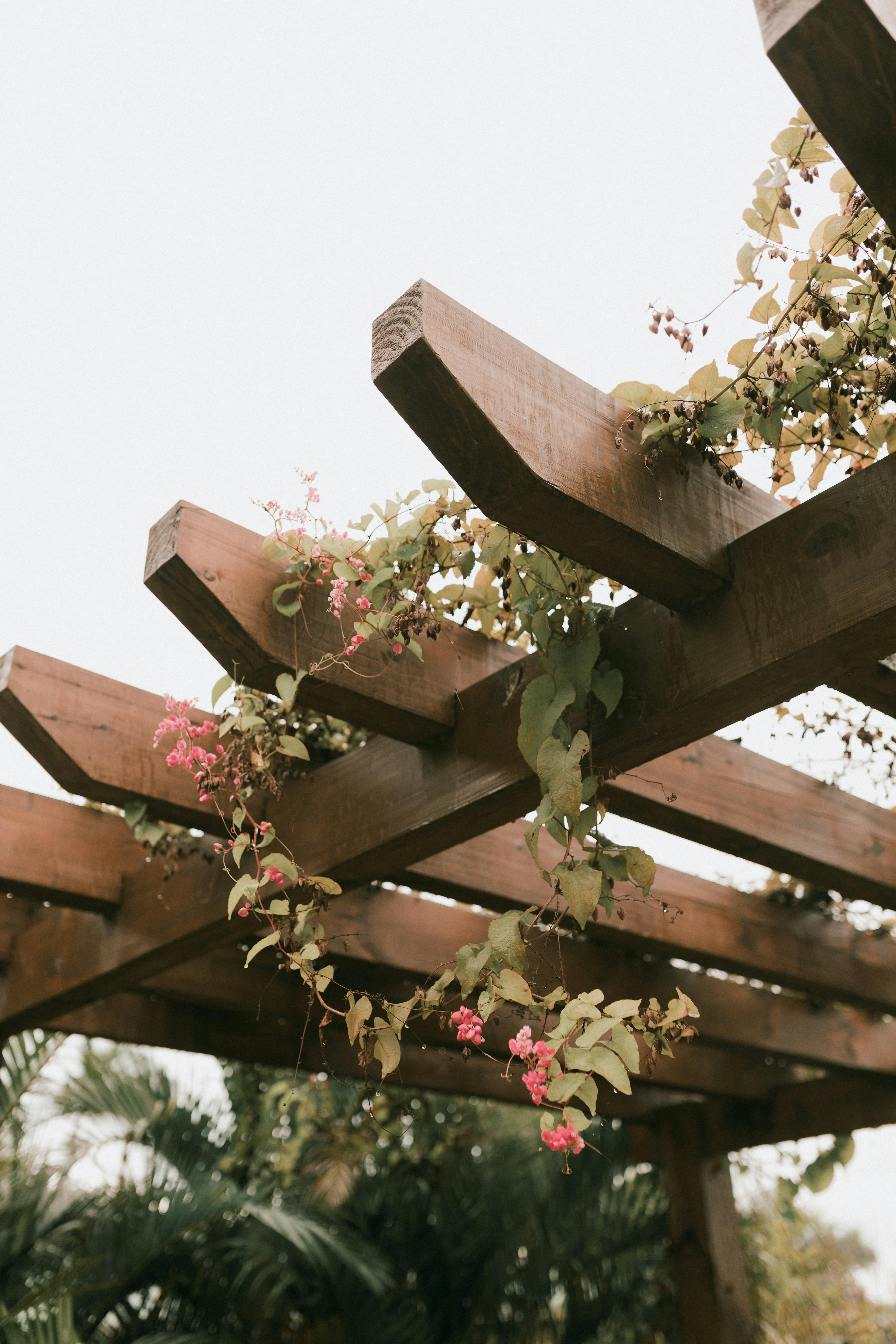 Pergola adossée en bois exotique sur terrasse