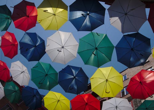 Ingyenes stockfotó erkölcstelen alkalmi bába, esernyő, esernyők témában