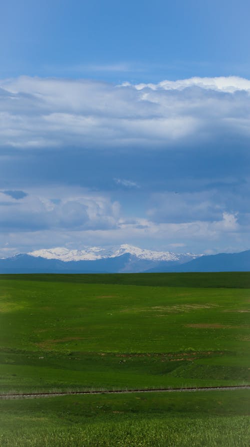 A photo of a green field with mountains in the background