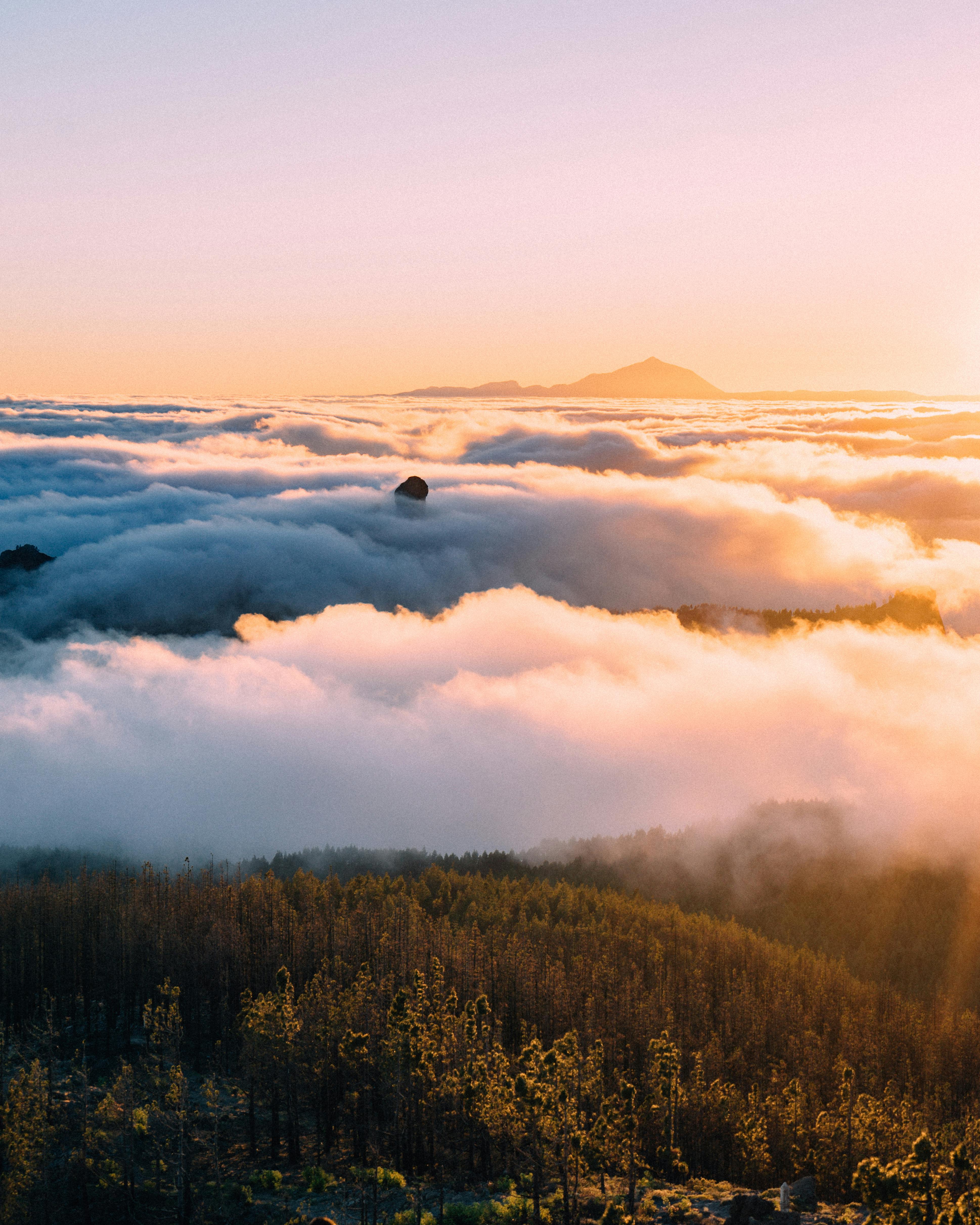 100 000 Best Sea Of Clouds Photos 100 Free Download Pexels Stock Photos