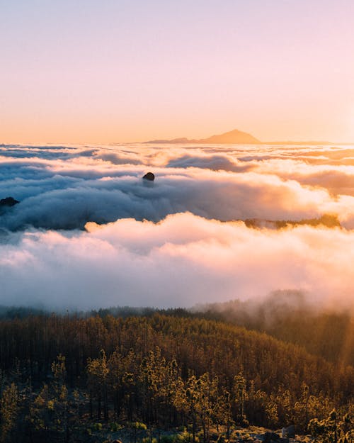 Sea Of Clouds