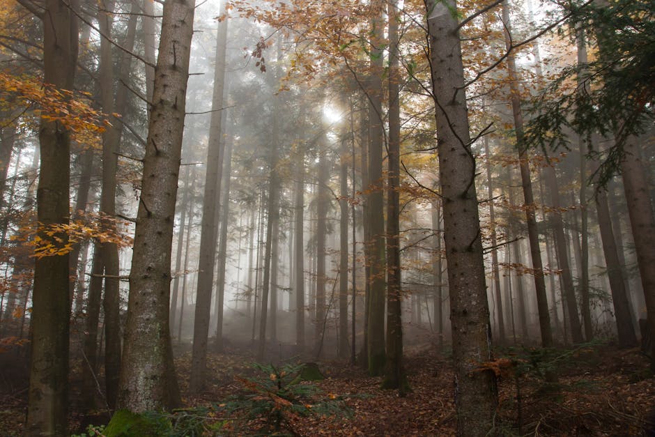 Music Inspiration: Adiemus by Karl Jenkins Music Inspiration: Adiemus by Karl Jenkins - Esther Neela Blog