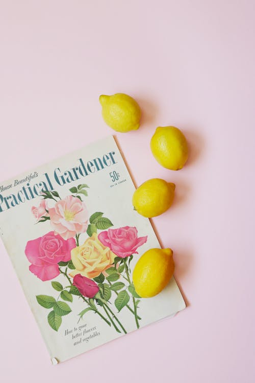 Magazine On Light Pink Table Beside Four Lemons