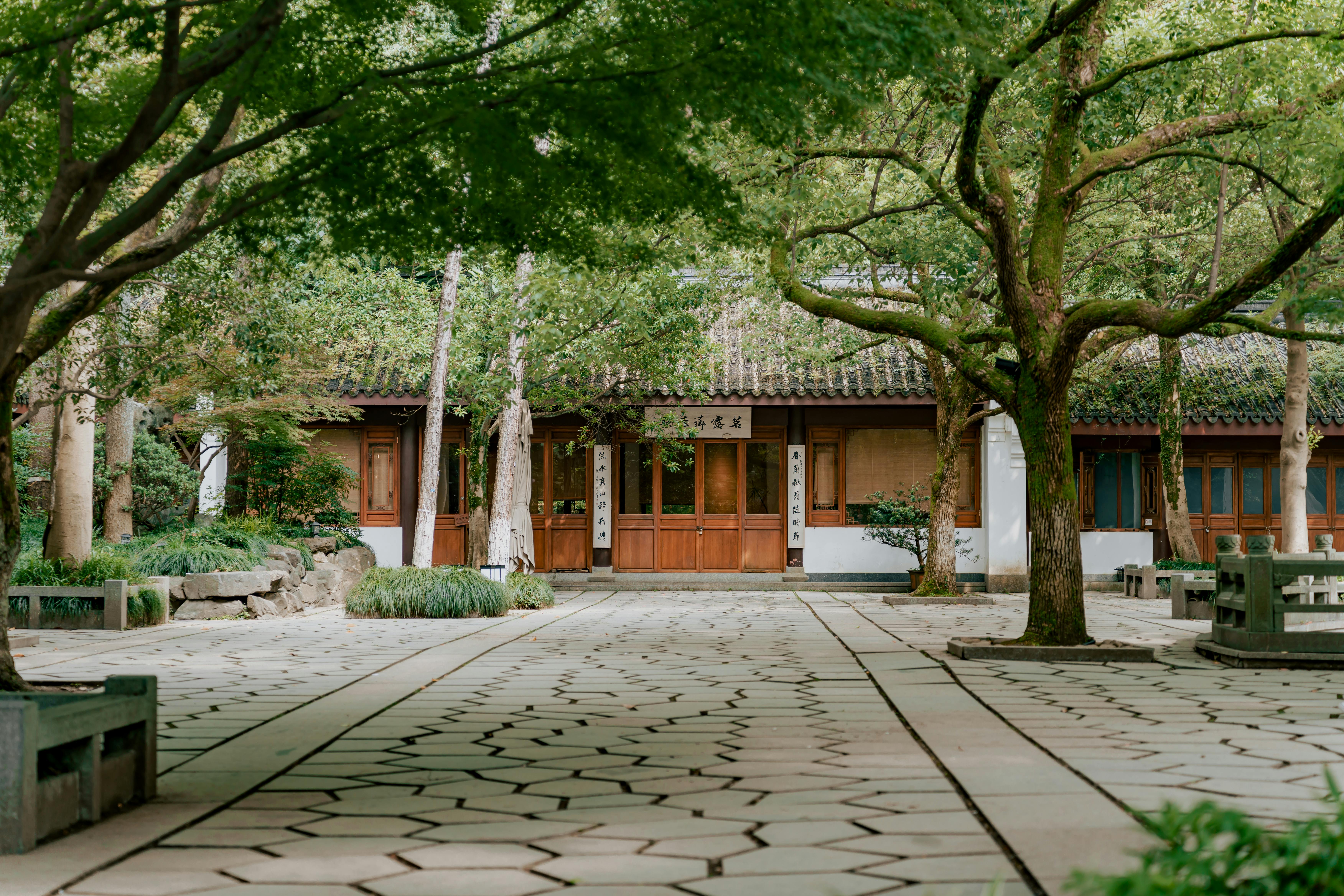 Trees and Building in Park