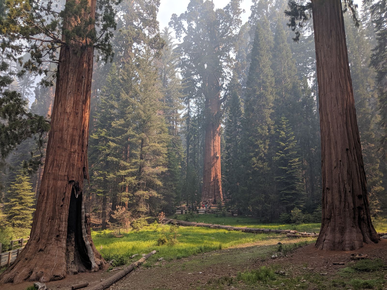 Sequoia National Park
