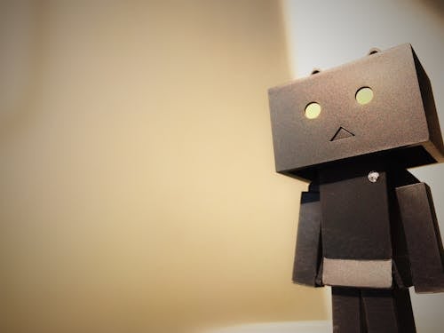 Danbo Cardboard Box Robot
