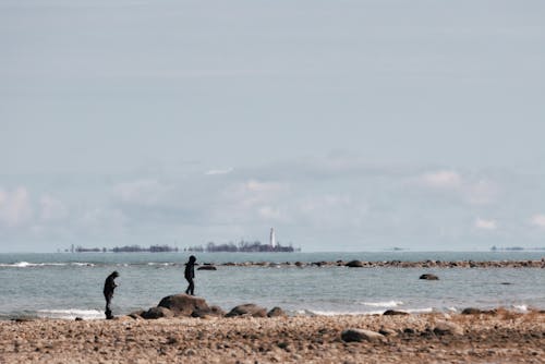 Gratis stockfoto met kustlijn, strand, vuurtoren