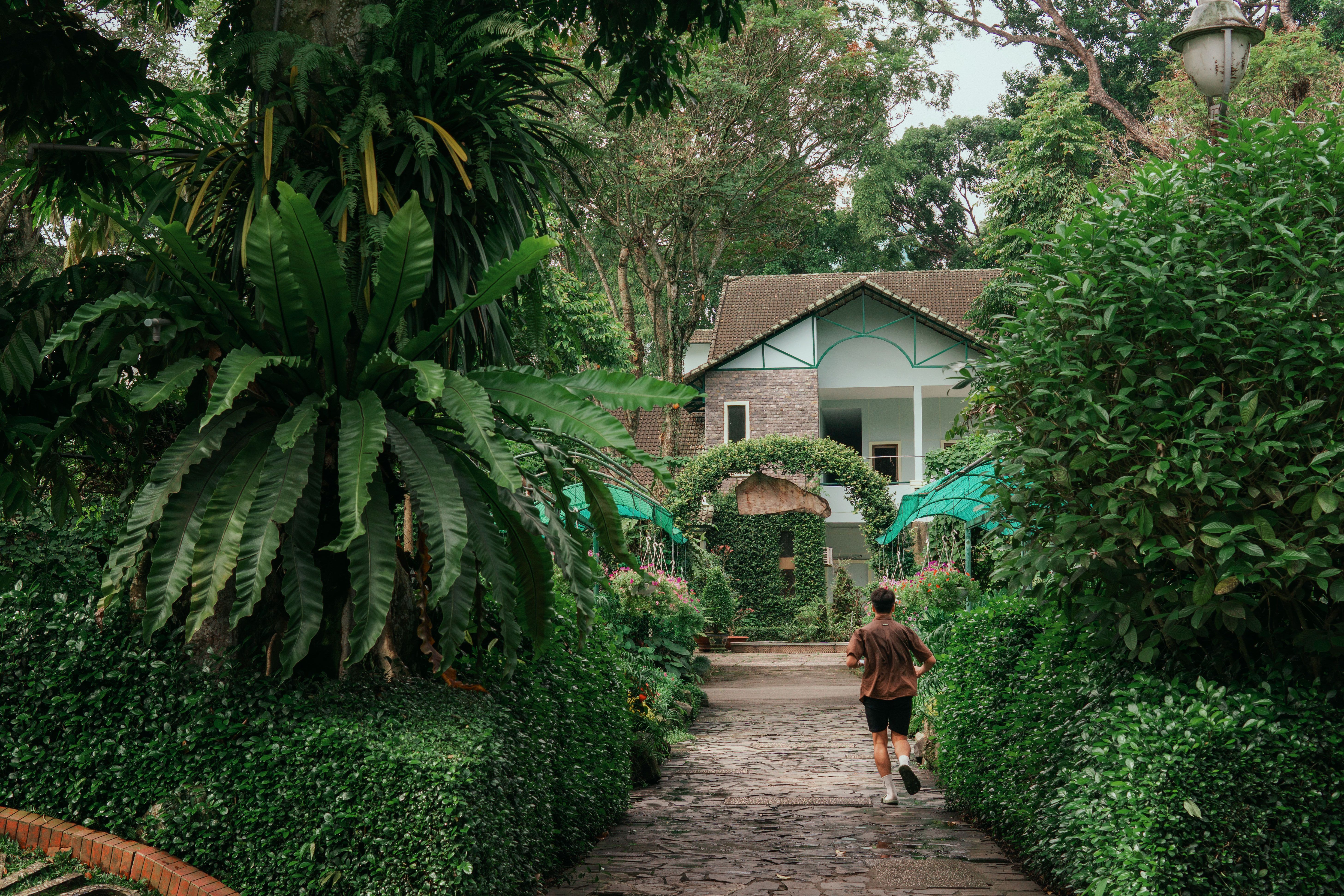 Exterior of a wellness studio in a tropical Queensland setting