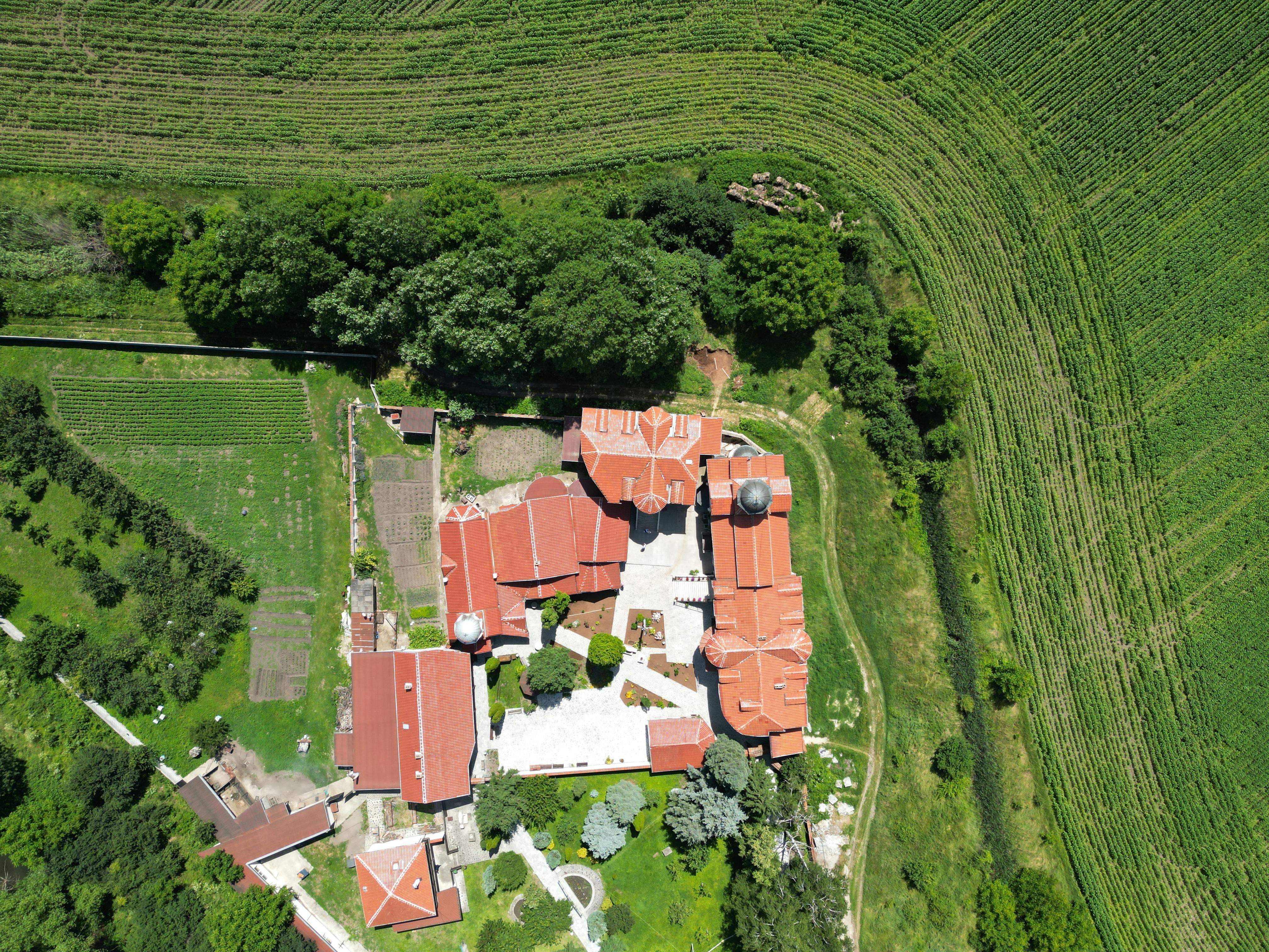 Bulgaria uncovers cannabis farm inside former zinc mine — Photo by M P on Pexels