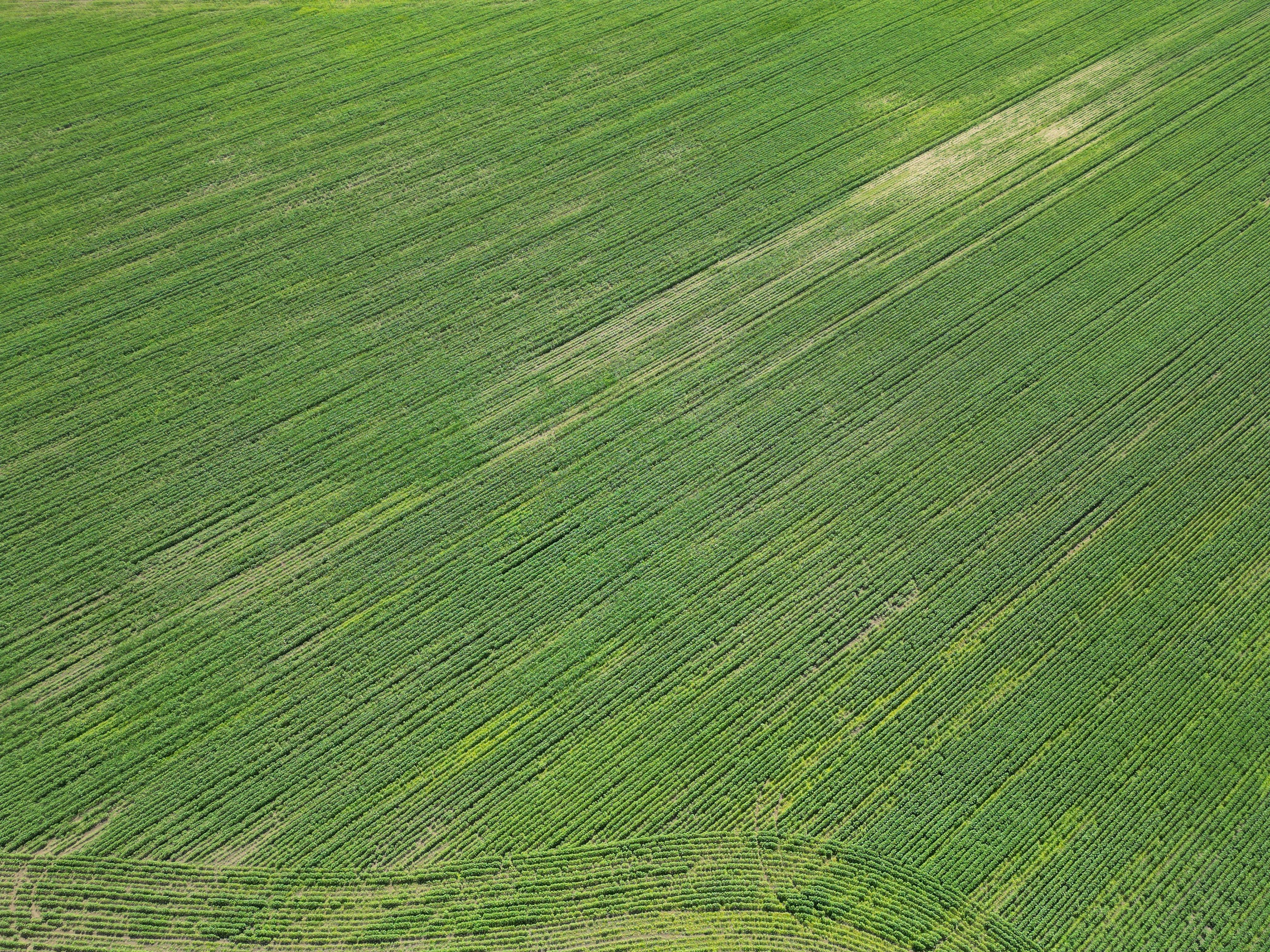 Expansive aerial view of lush green fields near Sofia, Bulgaria, showcasing rural agricultural landscape.