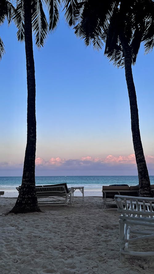 güzel gün batımı, Palmiye, plaj gün batımı içeren Ücretsiz stok fotoğraf