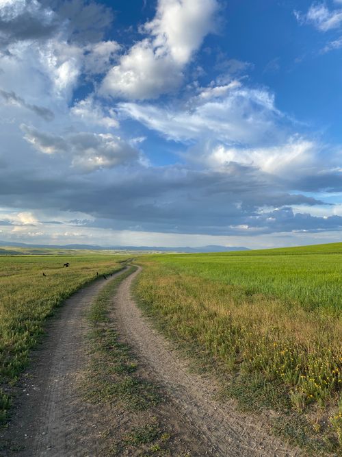 Free Serene dirt path winding through countryside fields under a vibrant sky with clouds. Stock Photo