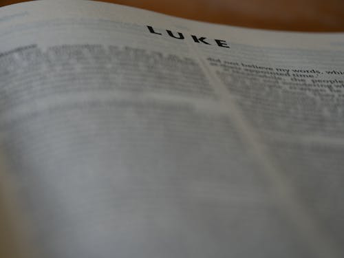 Free stock photo of bible, bible study, bokeh