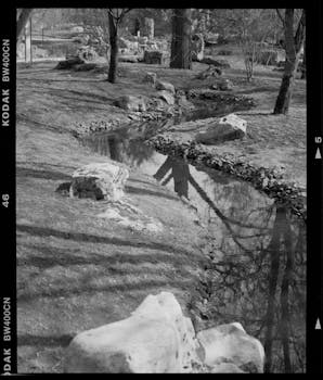 Serene black and white photo of a park with a stream and trees reflecting on the water.