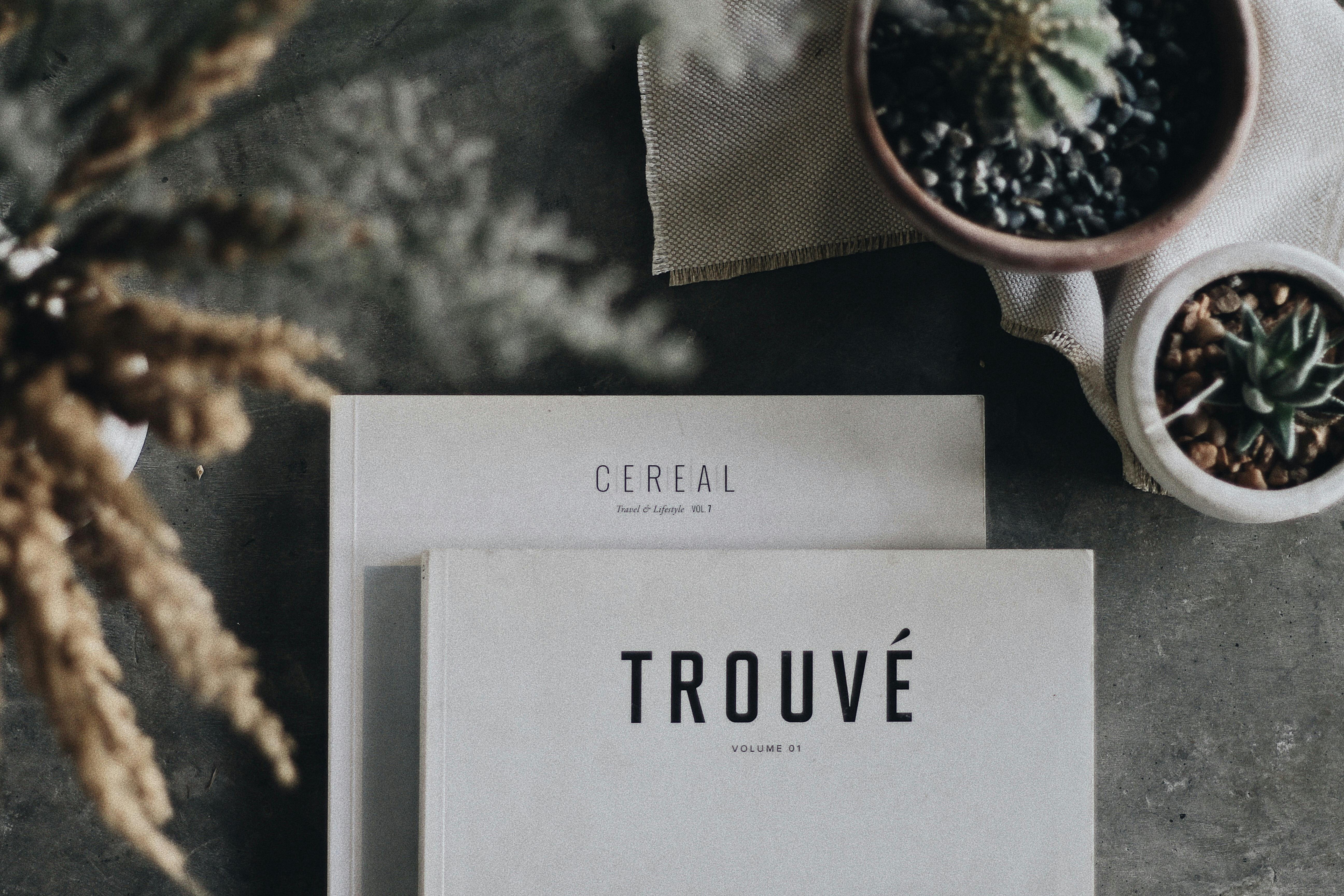 Flat lay of books titled 'CEREAL' and 'TROUVÉ' with potted plants, creating a serene indoor vibe.