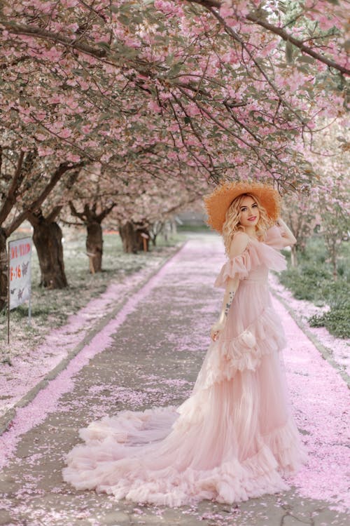 Kostnadsfri bild av blommande, elegant, fjäder