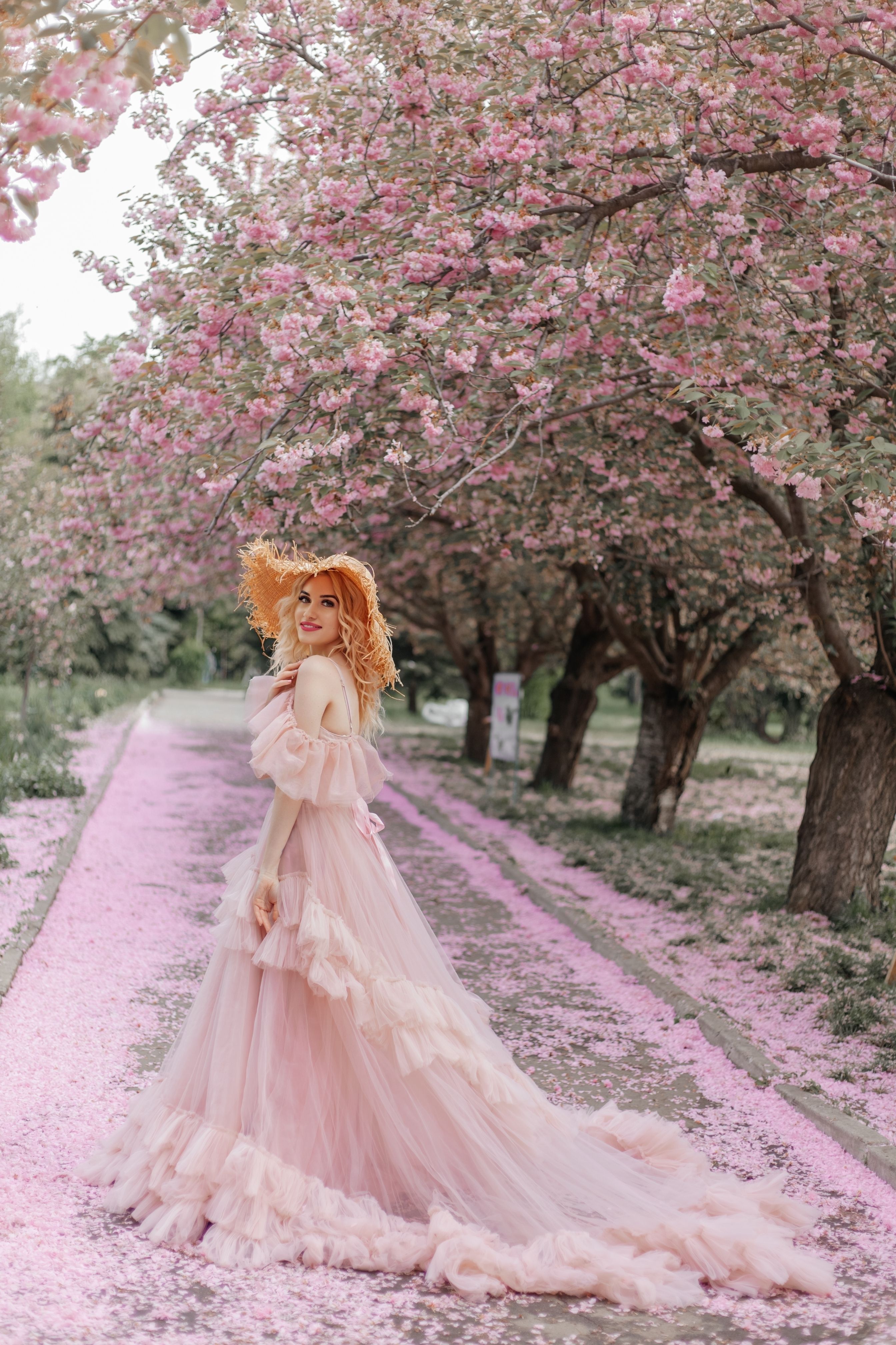 Woman in Long Pink Dress Standing under Cherry Blossom Trees Free Stock Photo Woman in Long Pink Dress Standing under Cherry Blossom Trees Free Stock Photo