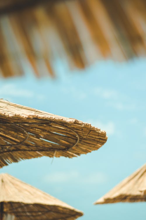 Free stock photo of bamboo umbrella, blue sky, umbrellas