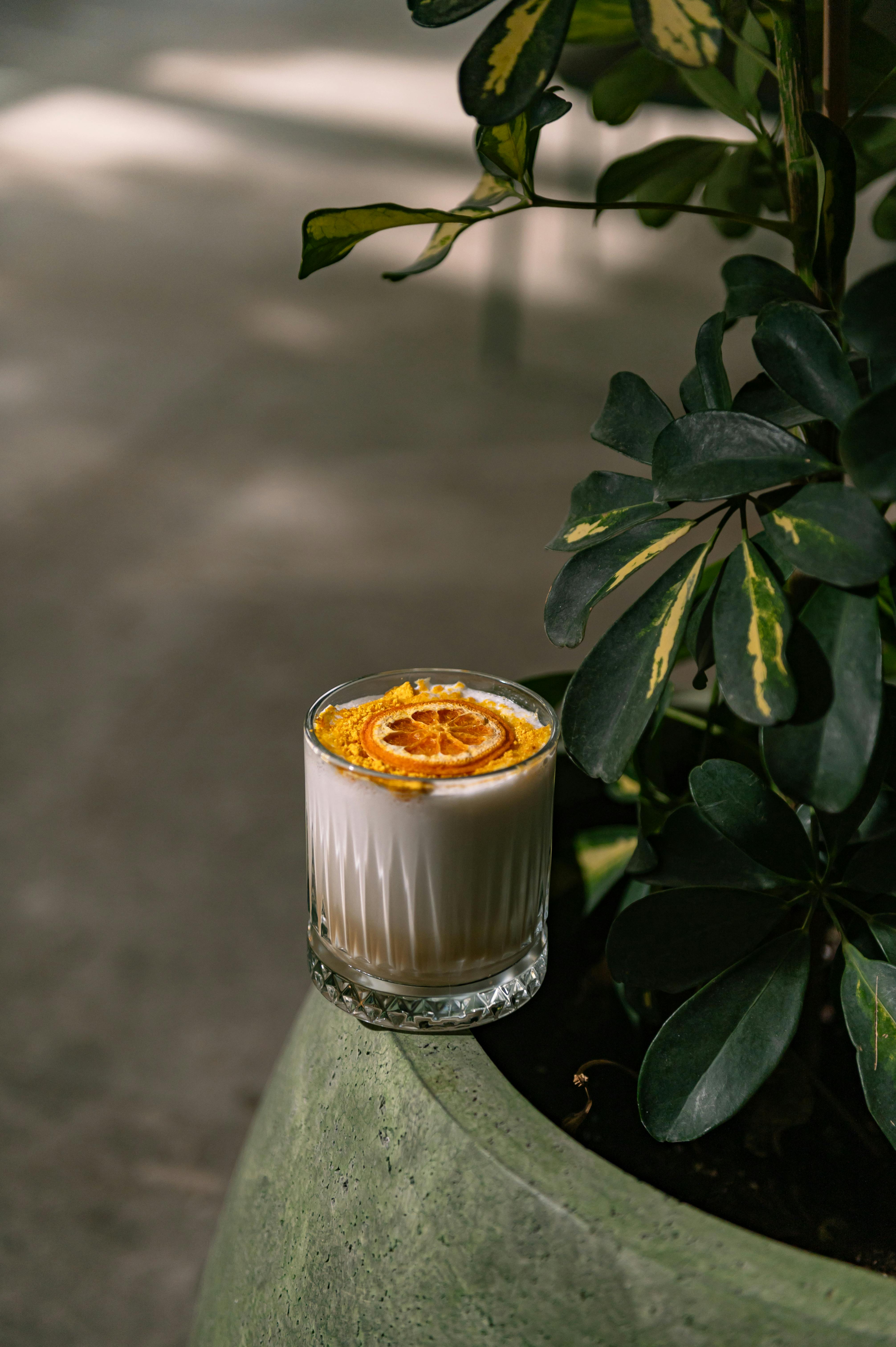 A vibrant cocktail glass with an orange slice garnish, placed beside lush green leaves in a plant pot.