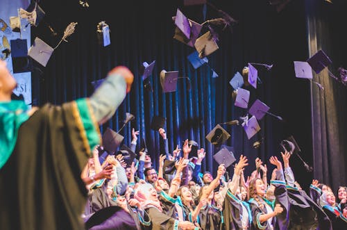 Free stock photo of cap, graduation