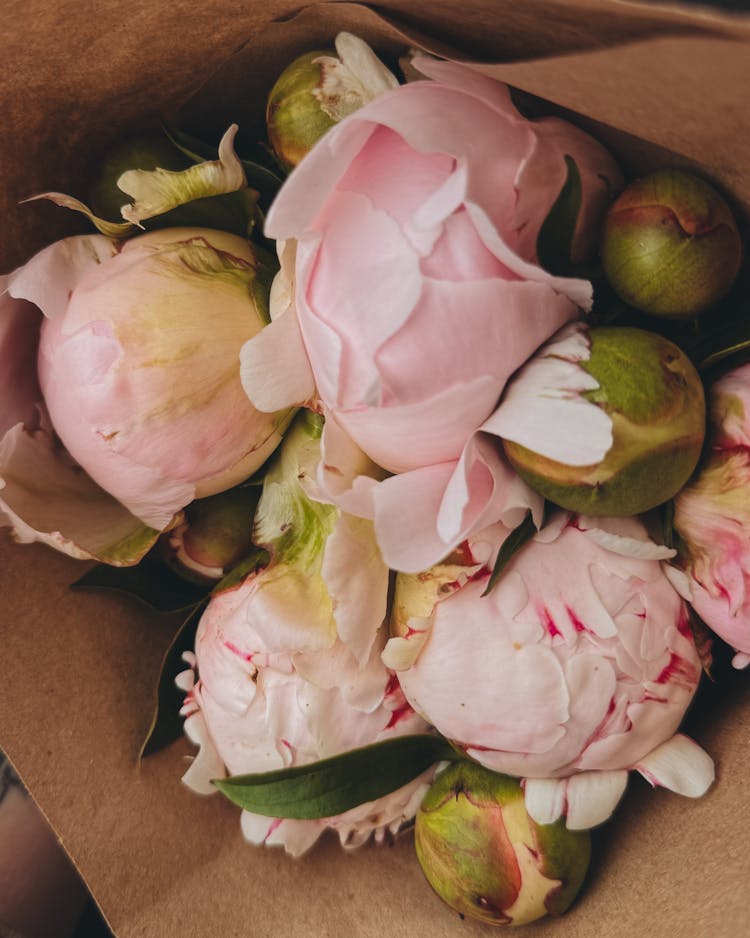 Pink Roses Bouquet