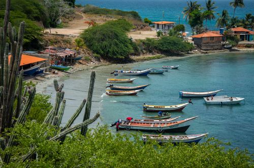 Free A picturesque coastal village with boats in a tropical bay, surrounded by green foliage and cacti. Stock Photo