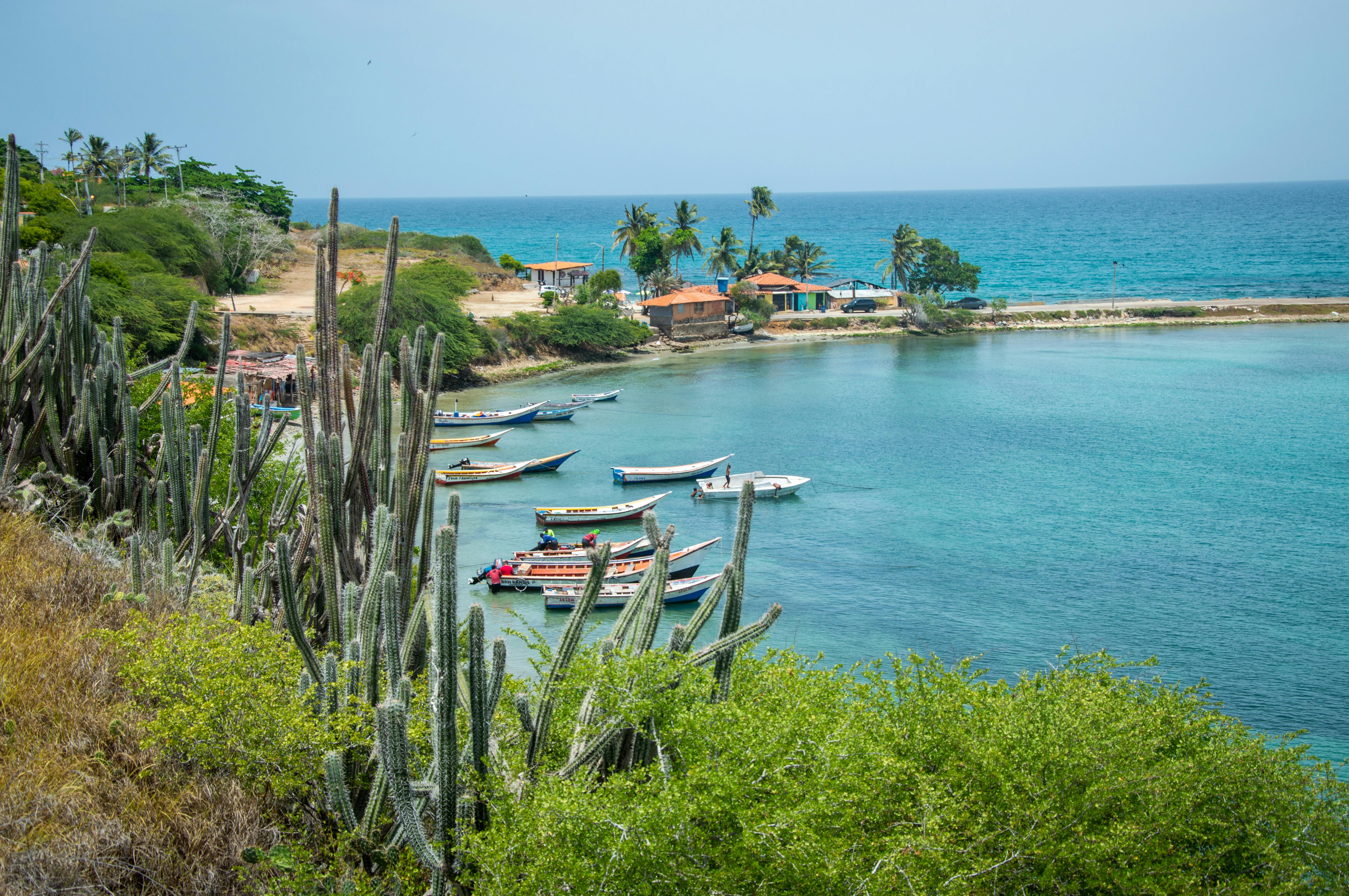 Beautiful tropical seaside view with boats, cacti, and clear blue waters.