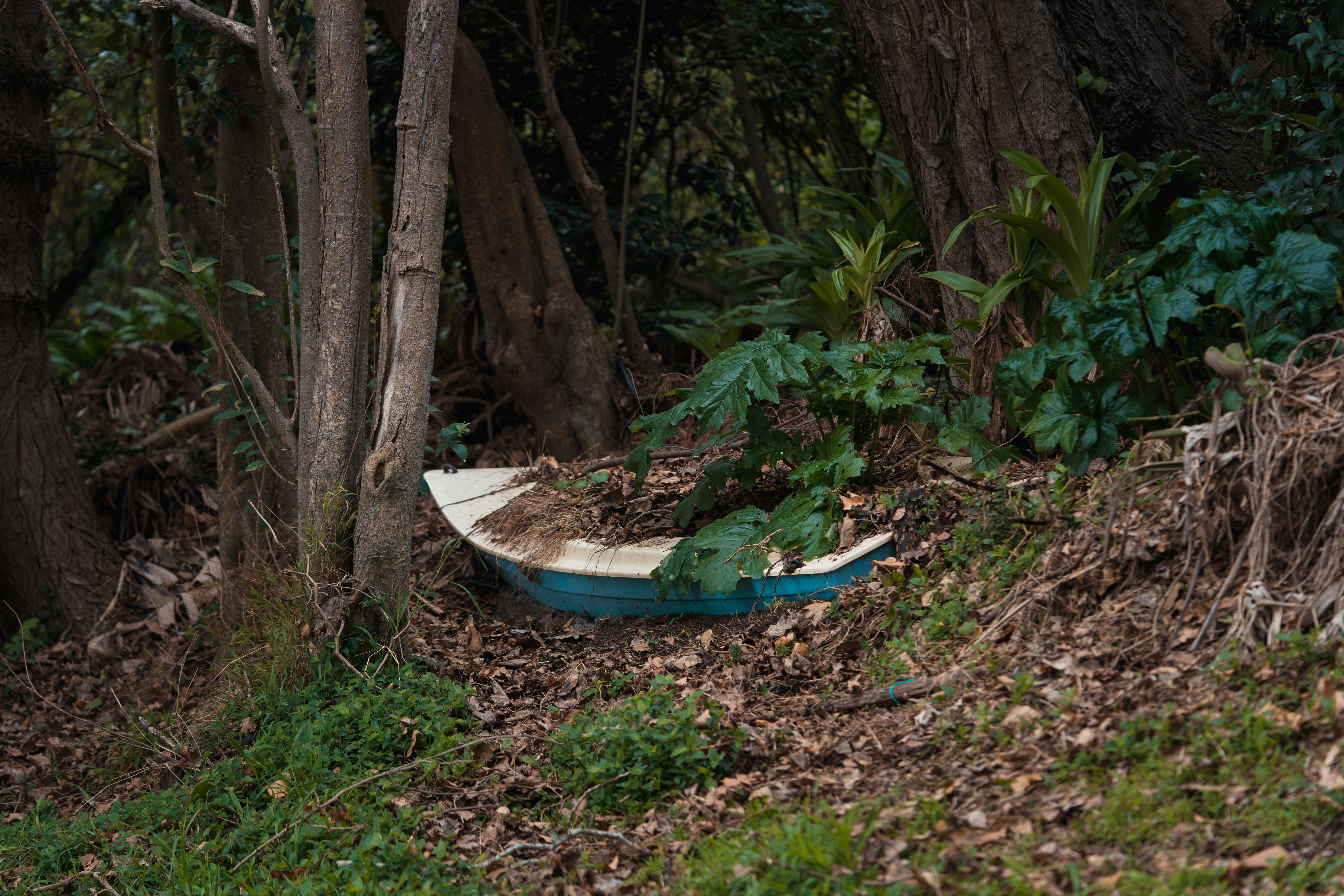 Exquisitas botellas de fragancias