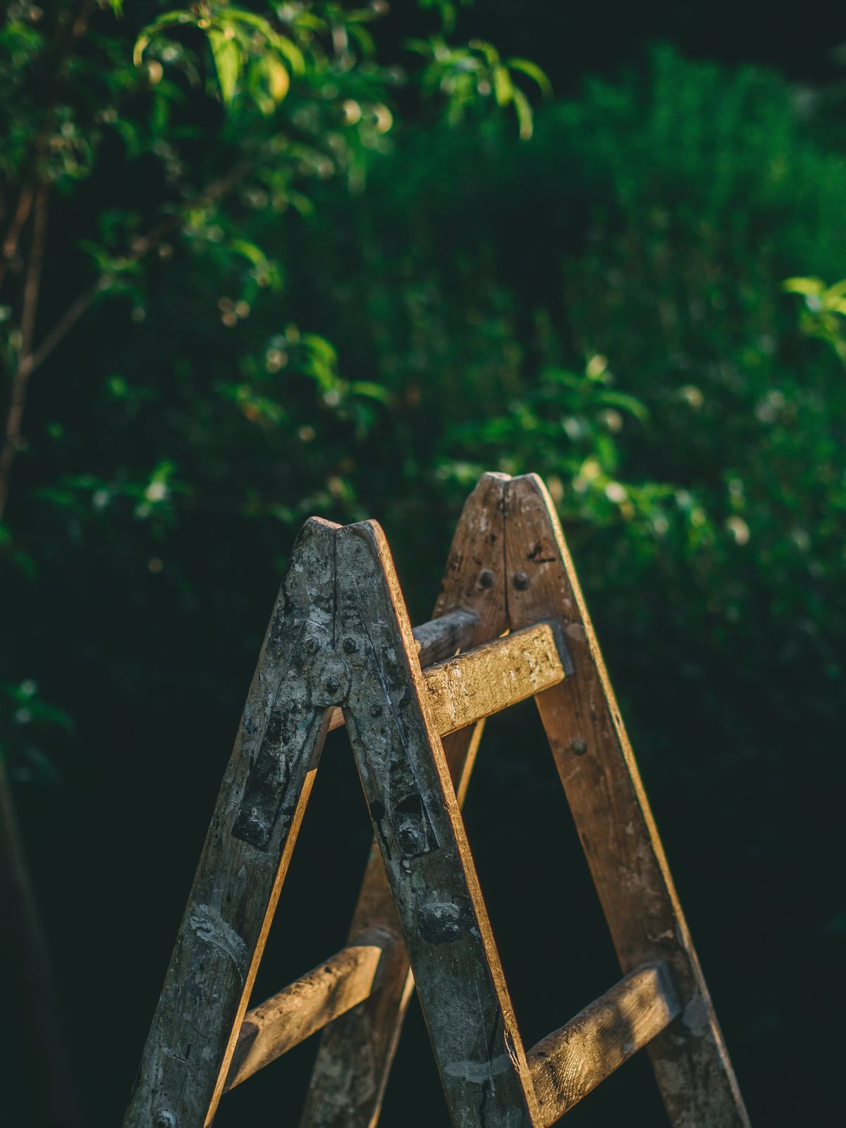 Ladder Photos, Download The BEST Free Ladder Stock Photos & HD Images