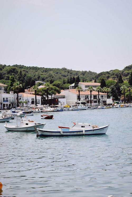 Boats in the water near a town with houses