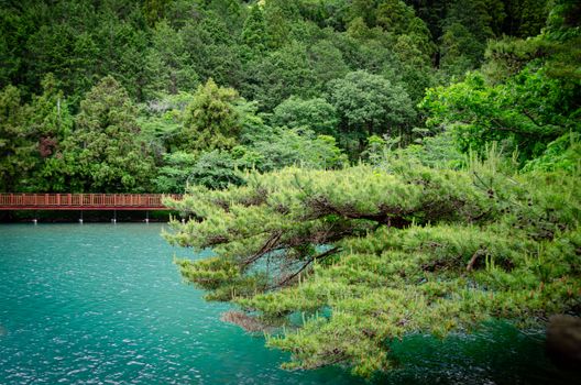 A serene view of a forested footbridge over a calm blue lake surrounded by lush greenery.