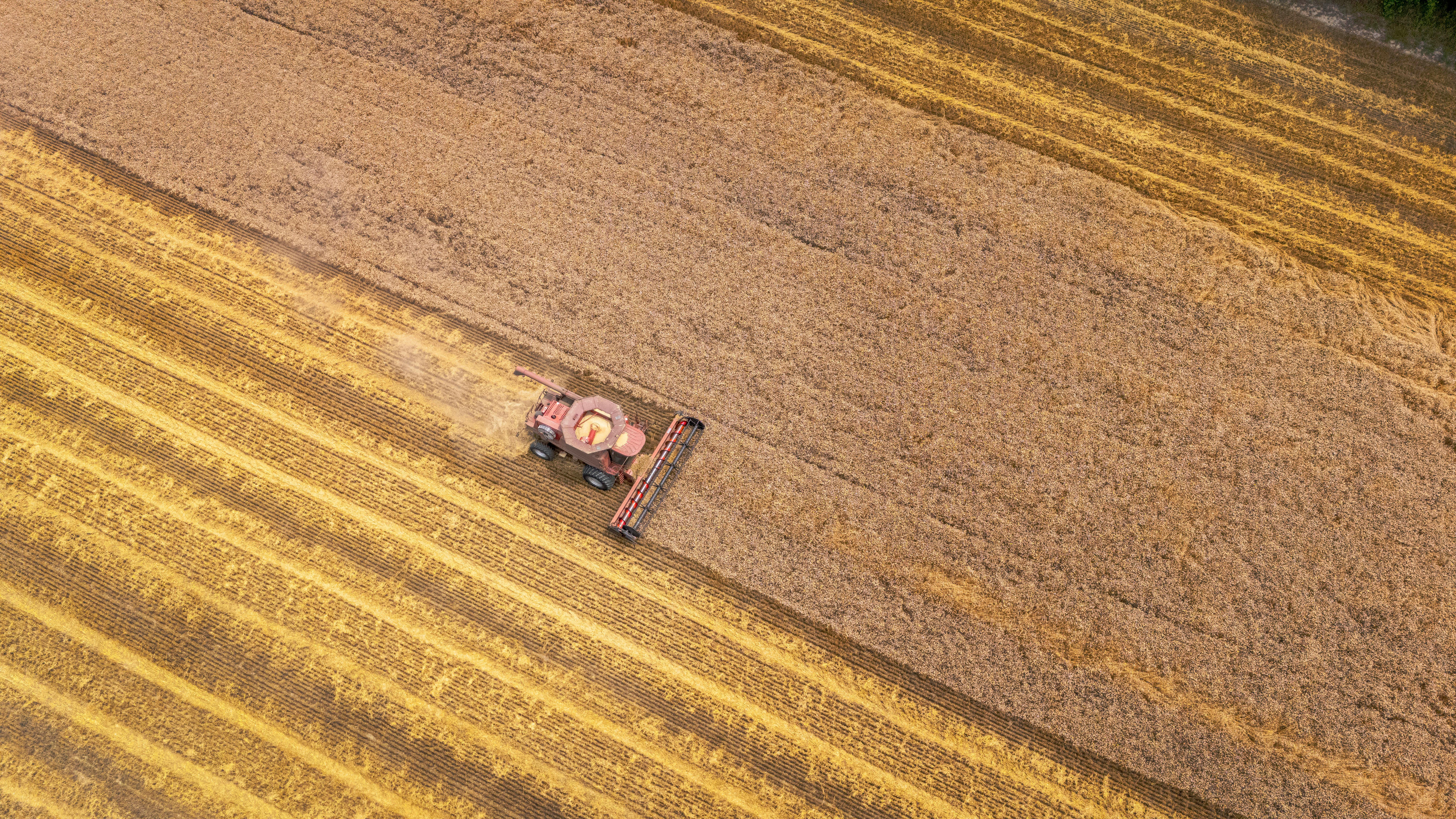 Year-end financial planning for farmers — Photo by Mark Stebnicki on Pexels