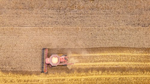 Gratis lagerfoto af abstrakt, beskidt, billedramme