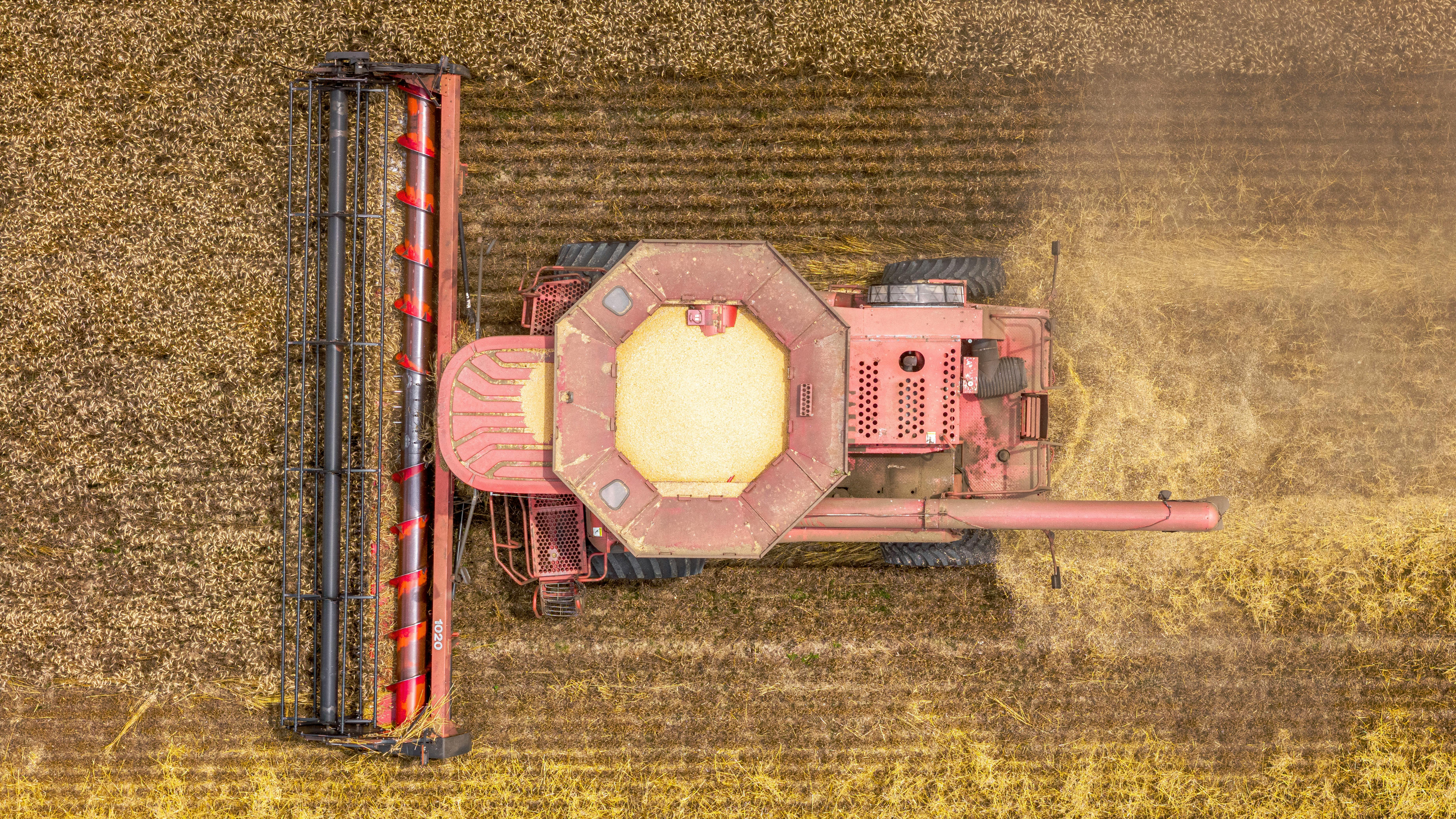 Gratis Fotos de stock gratuitas de agricultura, agricultura aérea, agricultura al aire libre Foto de stock