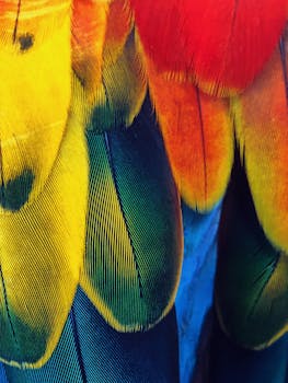 Close-up of colorful parrot feathers showcasing vivid textures and patterns.