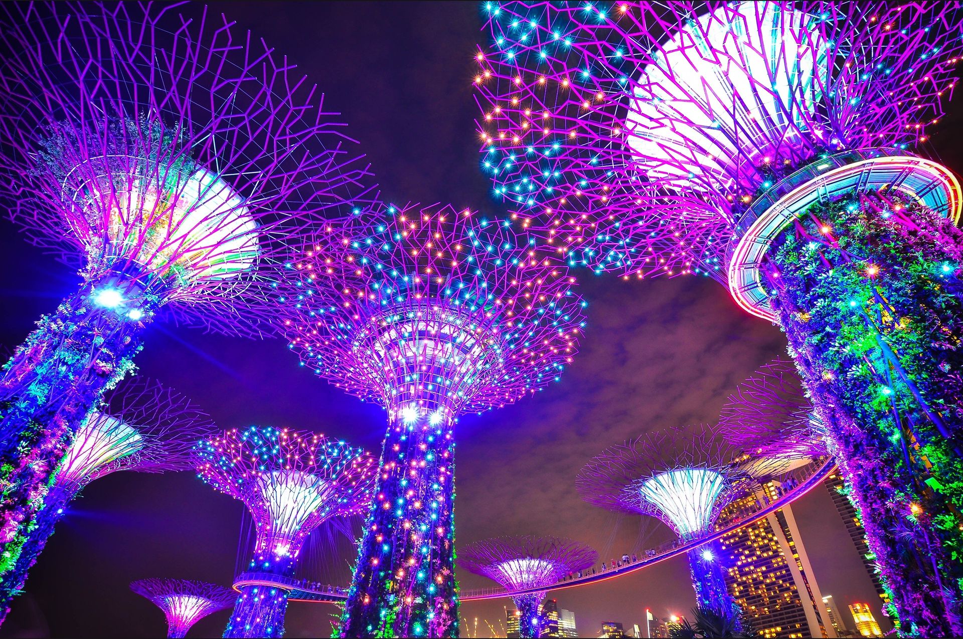 Colorful illuminated Supertree Grove at Gardens by the Bay in Singapore, showcasing stunning architectural design.