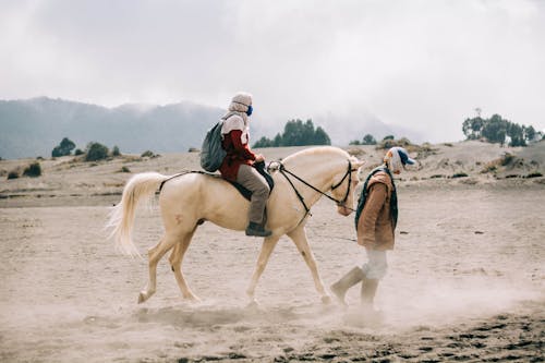 Photo of Person Riding a Horse