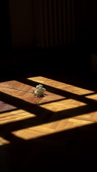 A single white rose on a parquet floor, dramatically lit by sunbeams through window shadows.