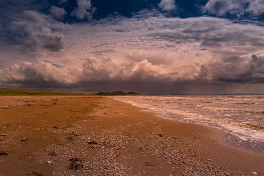 A serene beach scene with dramatic clouds and an expansive view of the ocean.